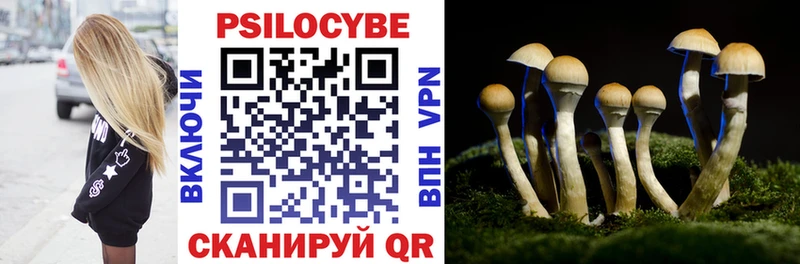 Купить закладки  Дно  Галлюциногенные грибы прущие грибы 